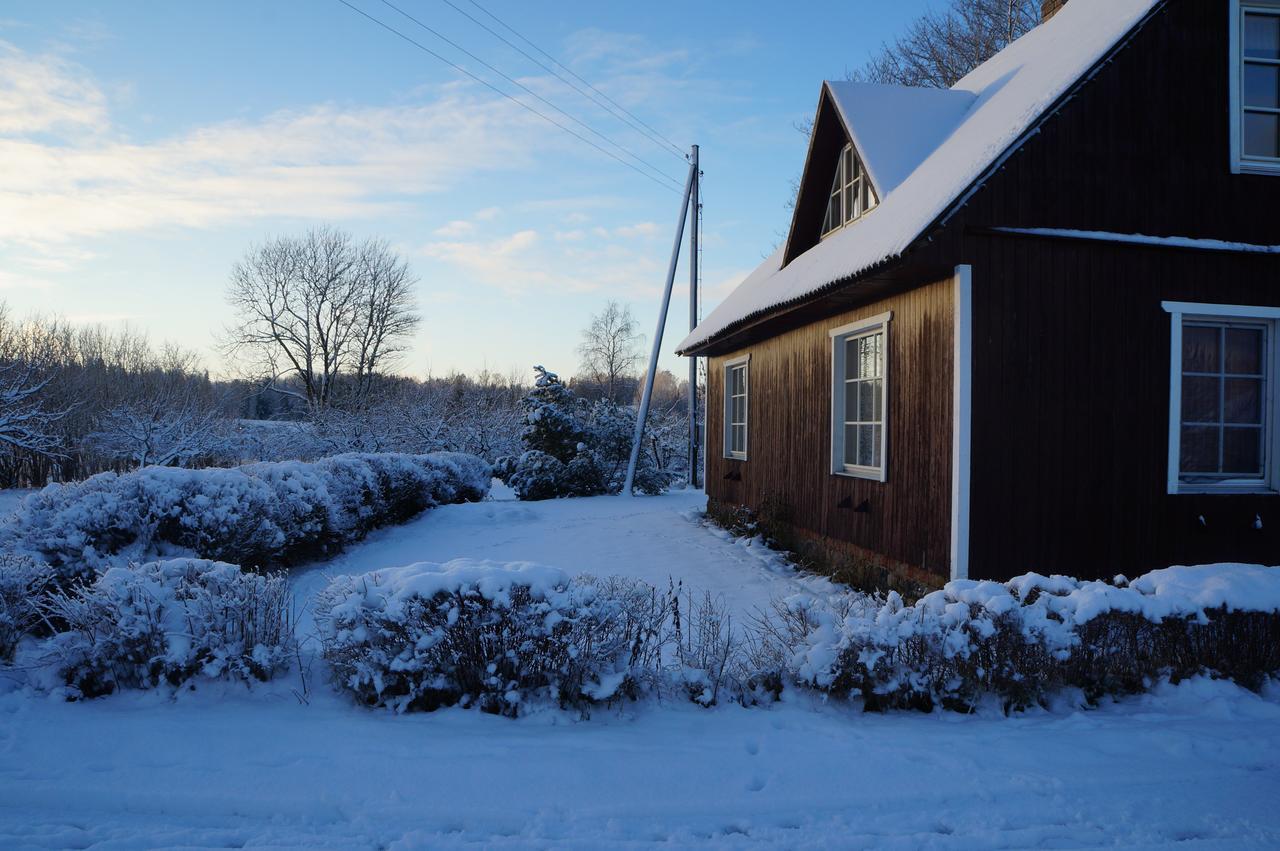 Villa Jaerve Talu Puhkemaja Otepää Esterno foto